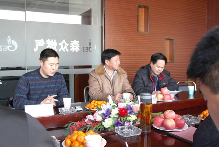 林口县政府与石家庄房杰矿业开发有限公司燃气项目洽谈.png